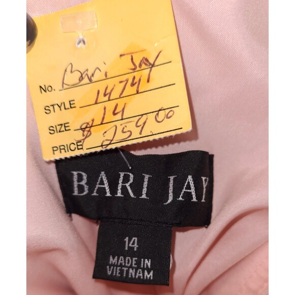 Bari Jay NWT Petal Pink Beaded Chiffon Strapless Sweetheart Gown, Size 14 - Picture 9 of 10